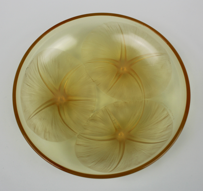 René Lalique Amber Volubilis Bowl