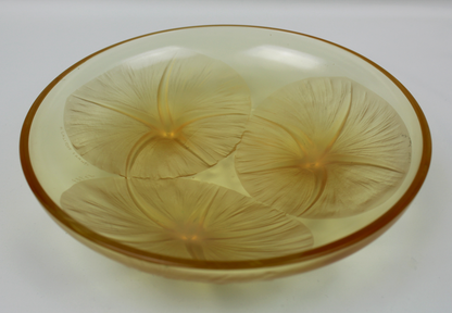 René Lalique Amber Volubilis Bowl