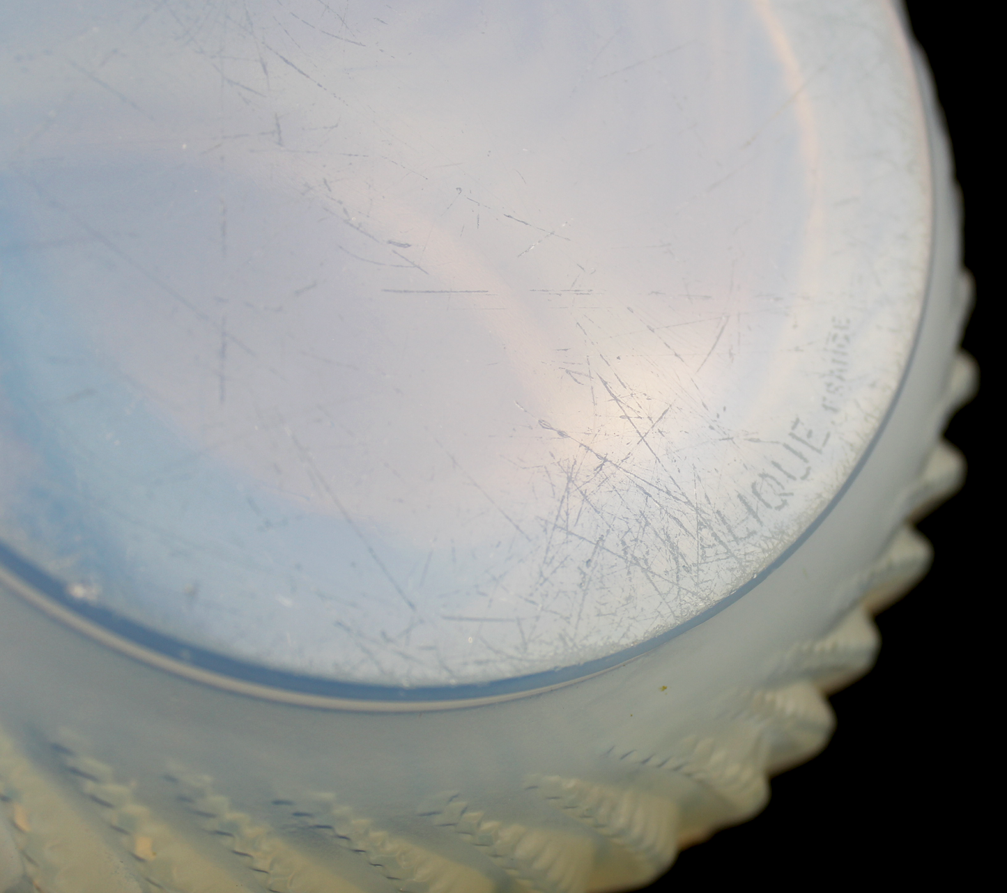 René Lalique ‘Actinia’ Vase