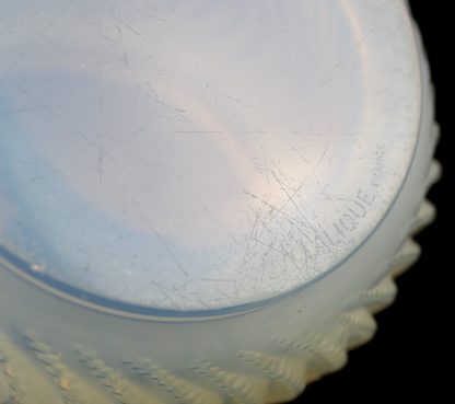 René Lalique ‘Actinia’ Vase
